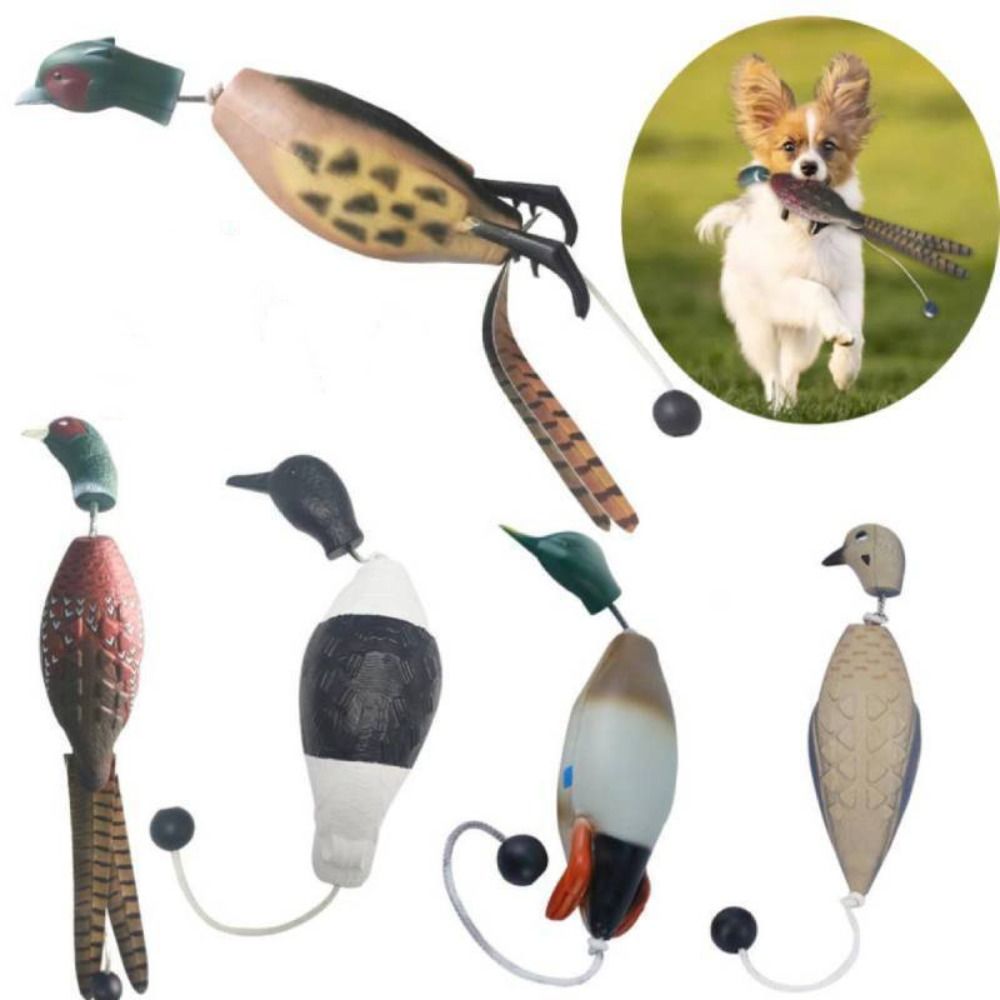 Decoy Duck Plastic - ألعاب تدريب الكلاب المقاومة للعض ،
