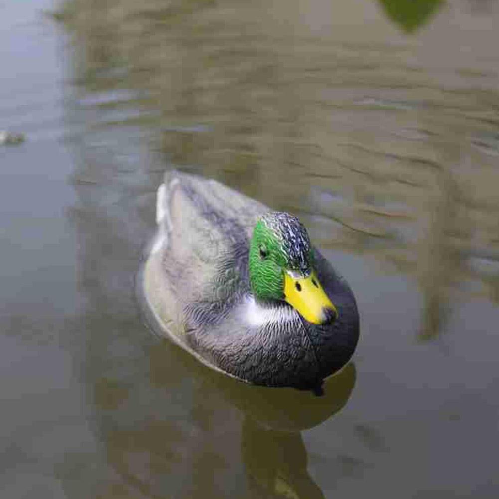 بطة صيد عائمة واقعية للزينة ال - مراجعة Decoy Duck Plastic وسعره