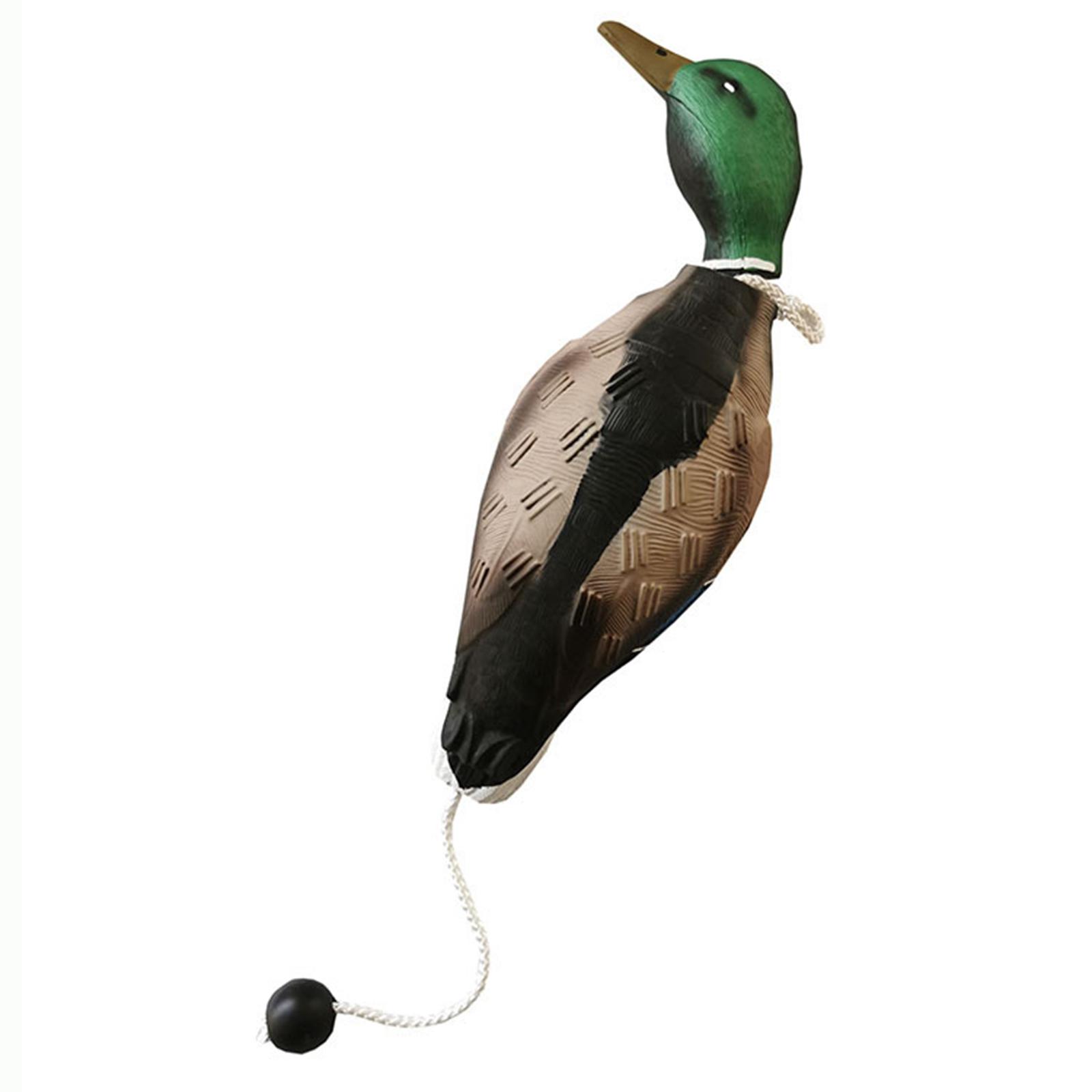 مجسم بطة مالارد بلاستيكي عائم، - مراجعة Decoy Duck Plastic وسعره