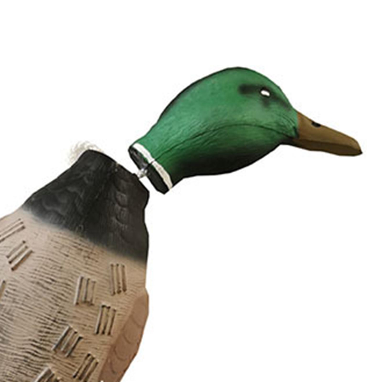 مجسم بطة مالارد بلاستيكي عائم، - مراجعة Decoy Duck Plastic وسعره