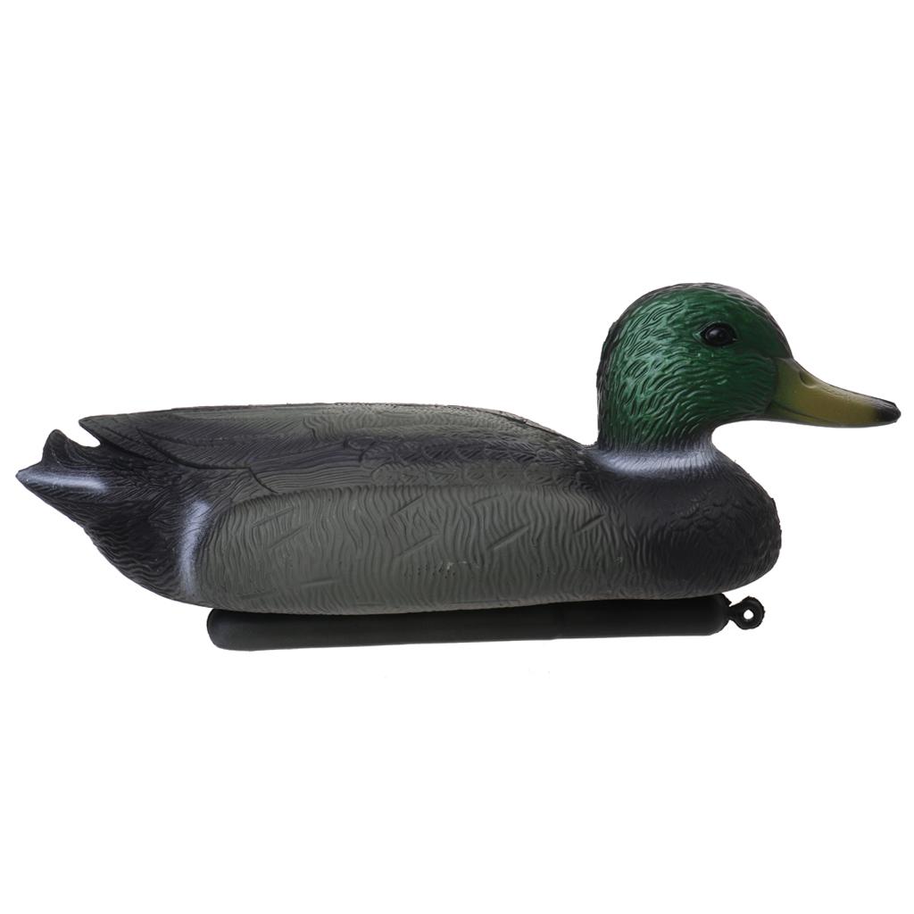 مجسم بطة عائم بالحجم الطبيعي م - مراجعة Decoy Duck Plastic وسعره