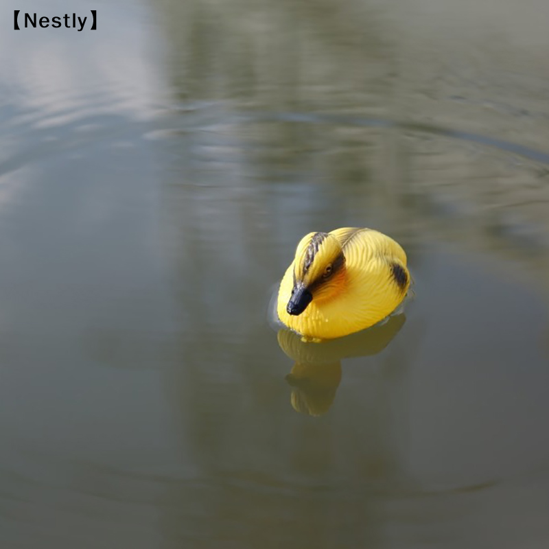 تمثال بطة عائمة للبركة، زينة ع - مراجعة Decoy Duck Plastic وسعره