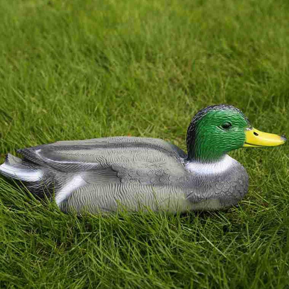 طُعم صيد البط البلاستيكي الواق - مراجعة Decoy Duck Plastic وسعره