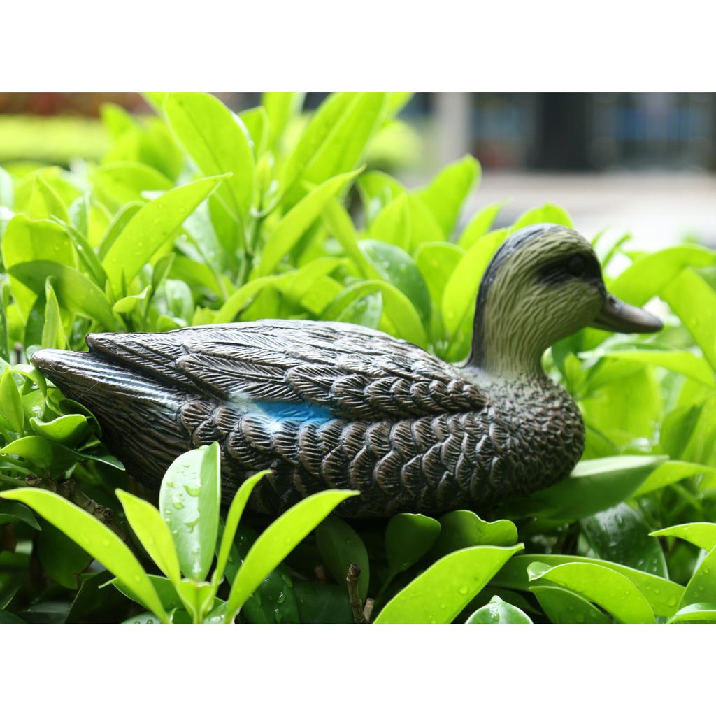 مجسم طائر صناعي واقعي على شكل  - مراجعة Decoy Duck Plastic وسعره