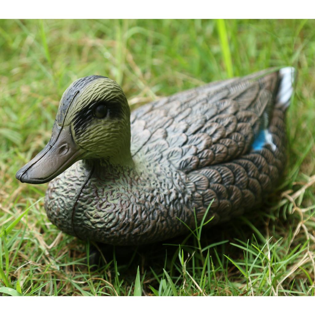 مجسم طائر صناعي واقعي على شكل  - مراجعة Decoy Duck Plastic وسعره