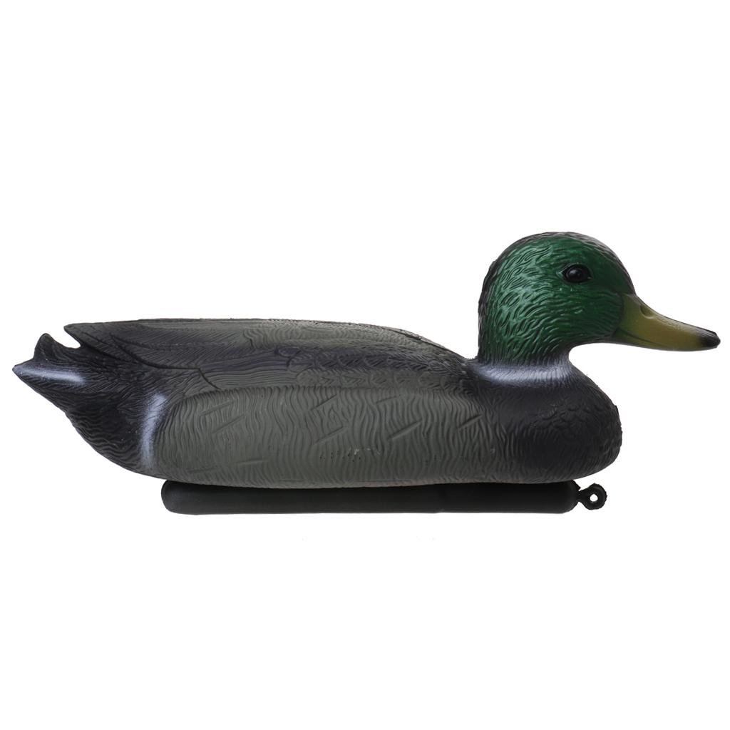 دمية بطة عائمة واقعية من البلا - مراجعة Decoy Duck Plastic وسعره