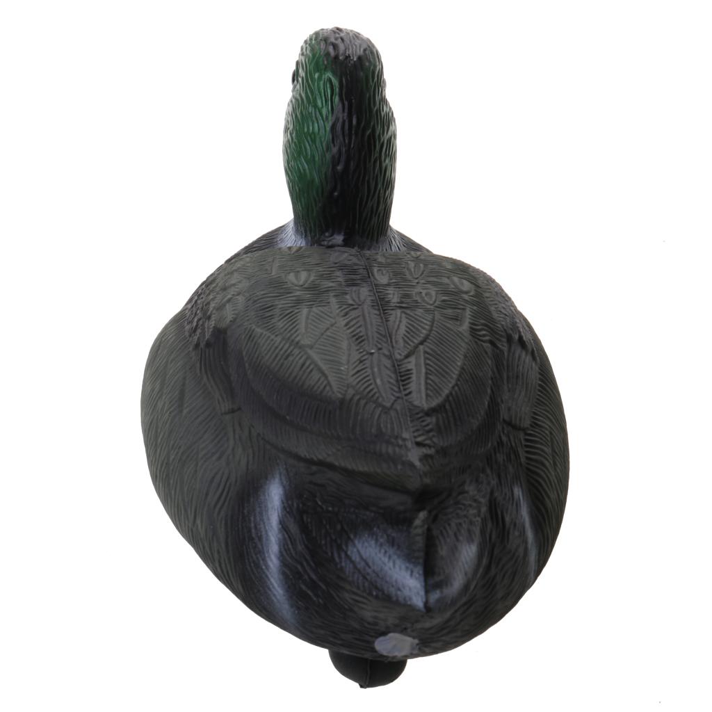 دمية بطة عائمة واقعية من البلا - مراجعة Decoy Duck Plastic وسعره