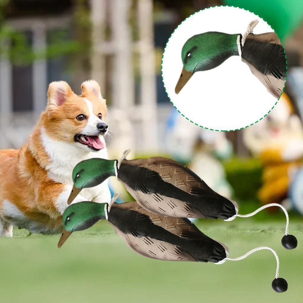 ألعاب تدريب الكلاب من مالارد د - مراجعة Decoy Duck Plastic وسعره