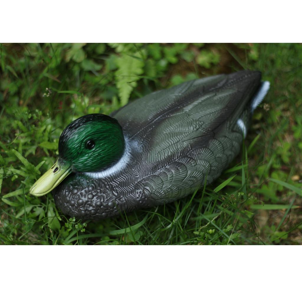 دمية بط بلاستيكية واقعية لطرد  - مراجعة Decoy Duck Plastic وسعره
