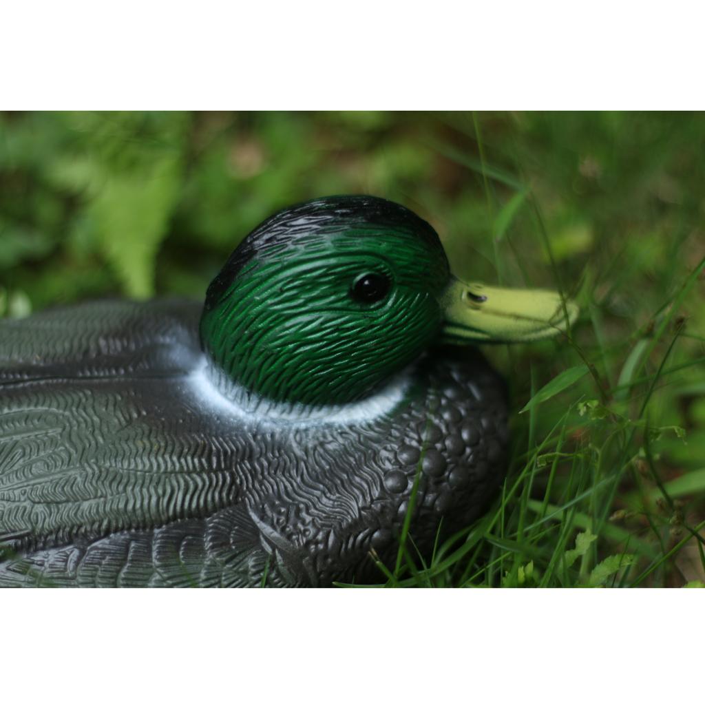 دمية بط بلاستيكية واقعية لطرد  - مراجعة Decoy Duck Plastic وسعره
