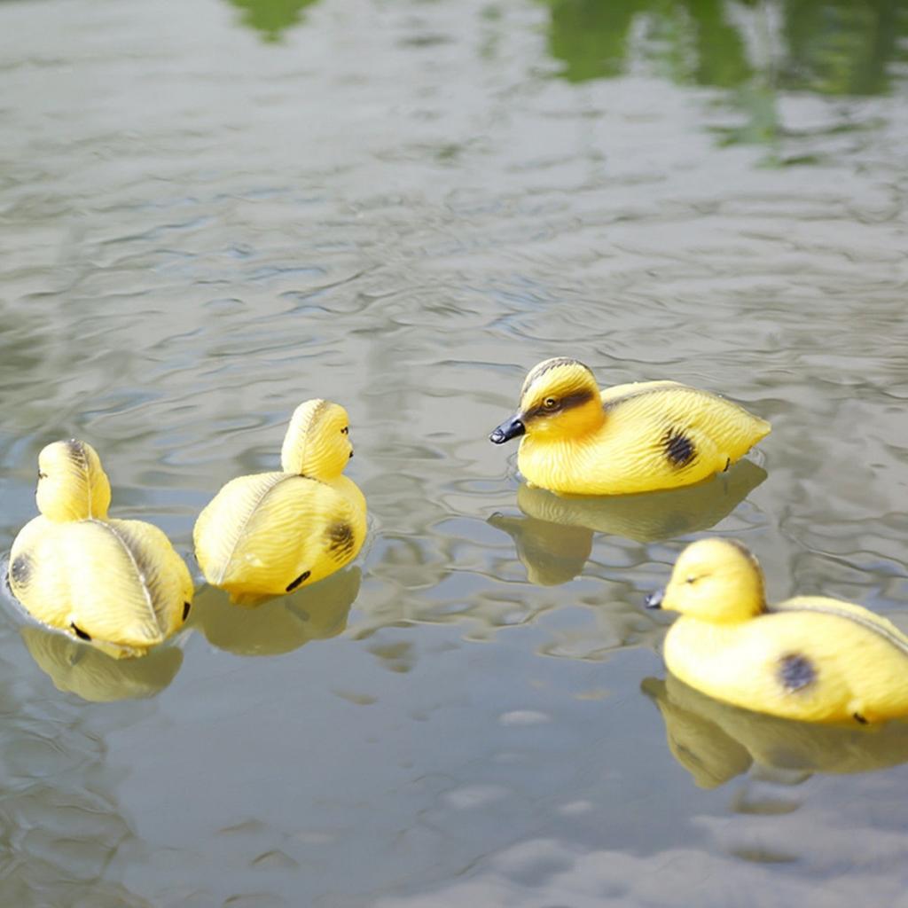 5 قطعة بطة عائمة فراخ البط الس - مراجعة Decoy Duck Plastic وسعره