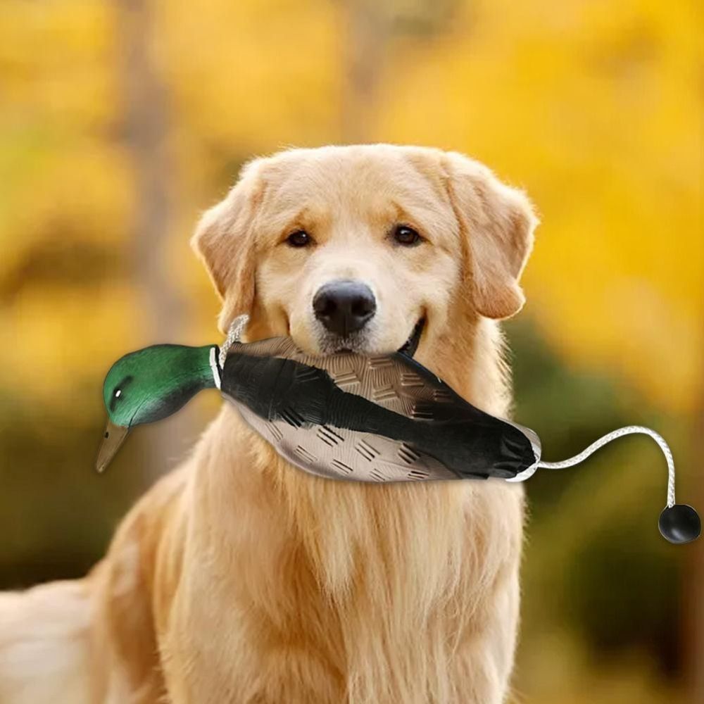 ألعاب تدريب الكلاب المقاومة لل - مراجعة Decoy Duck Plastic وسعره