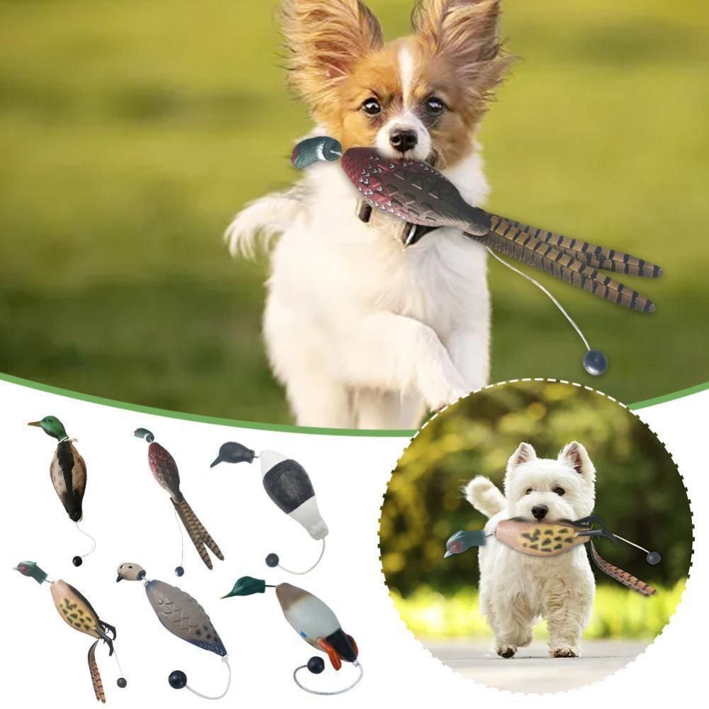 ألعاب تدريب الكلاب المقاومة لل - مراجعة Decoy Duck Plastic وسعره