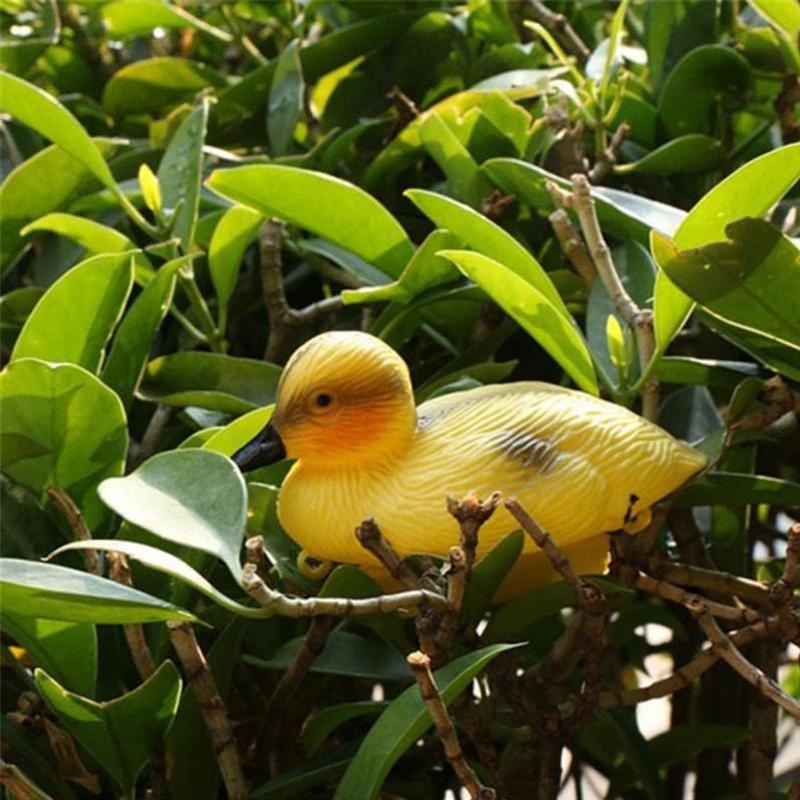 5 حزمة العائمة بطة بركة السمك  - مراجعة Decoy Duck Plastic وسعره